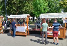 PČELE VREDNE, PRINOSI MEDA ZATAJILI PORUKA SA 19. FESTIVAL MEDA I VINA