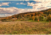 JESEN STIŽE 22. SEPTEMBRA