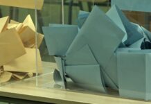 RASPISANI IZBORI U NEGOTINU I MIONICI NA BIRALIŠTA 30. NOVEMBRA