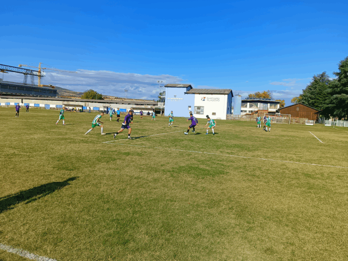 Brodoremont Krivelj 2