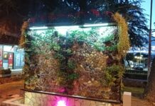 NOVA FONTANA U PEŠAČKOJ ZONI U KLADOVU