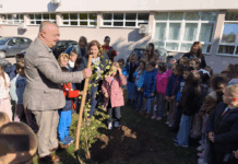 PRVACI ZASADILI DRVO GENERACIJE I CRTALI U ŠKOLSKOM DVORIŠTU