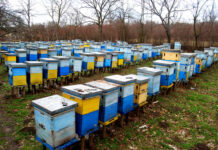 DO KRAJA OKTOBRA PRIJAVA STANJA NA PČELINJAKU