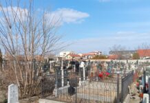 U SUBOTU MITROVSKE ZADUŠNICE