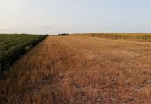 Zakup zemljišta u državnoj svojini