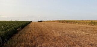 Zakup zemljišta u državnoj svojini