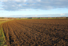 RASPISAN OGLAS ZA ZAKUP 728 HEKTARA POLJOPRIVREDNOG ZEMLJIŠTA U DRŽAVNOJ SVOJINI