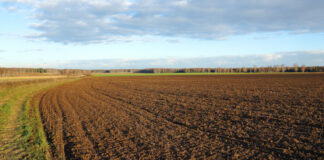 RASPISAN OGLAS ZA ZAKUP 728 HEKTARA POLJOPRIVREDNOG ZEMLJIŠTA U DRŽAVNOJ SVOJINI