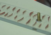 Obavezna kontrola svinjskog mesa na trihinoskopu