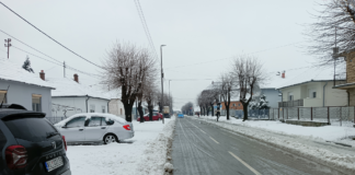 Svi putni pravci u opštini Kladovo su prohodni, saobraćaj se odvija bez zastoja