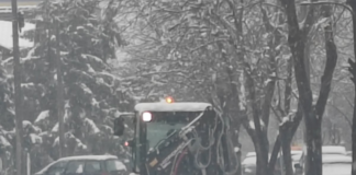 Prvi sneg ove zime nije doneo mnogo nevolja u Kladovskom kraju