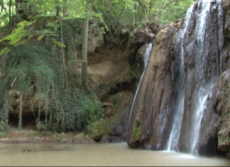 Upravljačima zaštićenih područja 730 miliona dinara