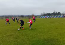 Fudbalski klub Đerdap zauzima osmo mesto na tabeli klubova Srpske lige