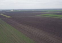 U petak otvaranje ponuda za drugi krug davanja u zakup poljoprivrednog zemljišta