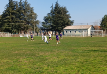 Prijateljska utakmica Brodoremont-Branik 2:0 (1:0)