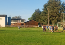 Brodari opravdali ulogu favorita, rutinski do bodova