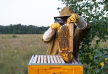 SPOS: Subvencije ne prate realne potrebe pčelara