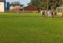 U zoni Istok kvartet klubova iz Borskog okruga