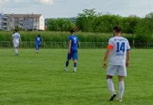 Đerdap poražen u Vlasotincu, remi Brodoremonta u Brestovcu