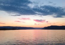 Obeležava se Međunarodni dan reke Dunav „Ujedinjeni Dunavom – igraj za vodu“