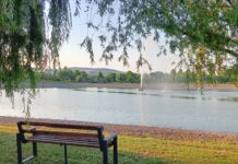 Nove klupe u gradskom parku „Jezero“