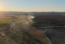 Zbog požara proglašena vanredna situacija u delu opštine Kladovo, pod vatrom viže od 800 hektara
