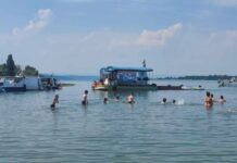 Đerdapska regata Tekija – Kusjak startuje u petak u devet sati