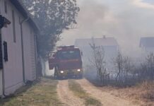 U opštini Kladovo u avgustu 37 požara