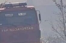 U opštini Kladovo u avgustu 37 požara