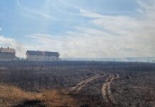 Posle 33 sata borbe sa vatrenom stihijom oko 18,40 časova lokalizovan požar na 1300 hektara u delu opštine Kladovo