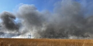 Za Kladovske vatrogasce-spasioce nema predaha, minuli dan proveli na terenu